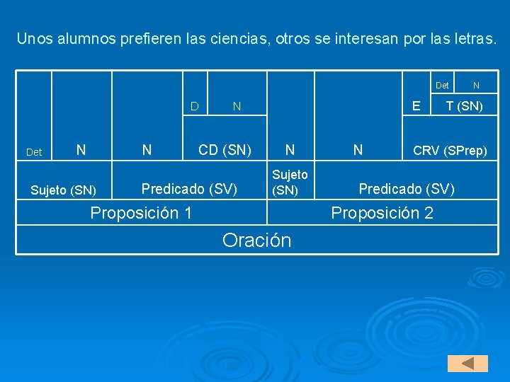 Unos alumnos prefieren las ciencias, otros se interesan por las letras. Det D Det