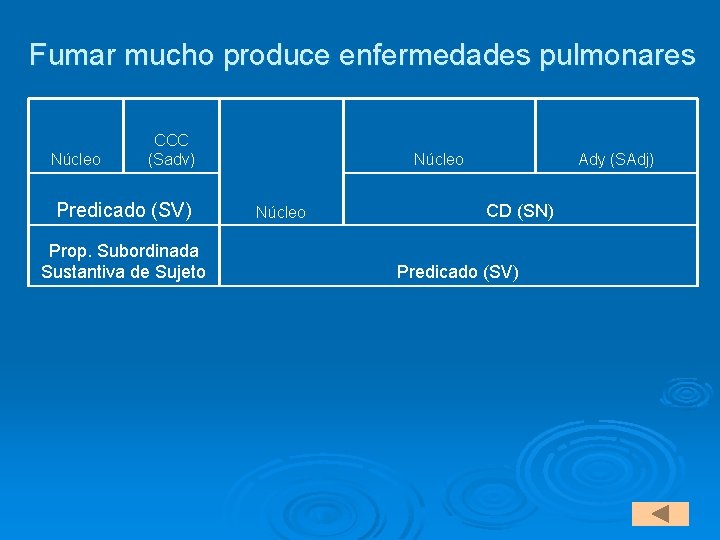 Fumar mucho produce enfermedades pulmonares Núcleo CCC (Sadv) Predicado (SV) Prop. Subordinada Sustantiva de