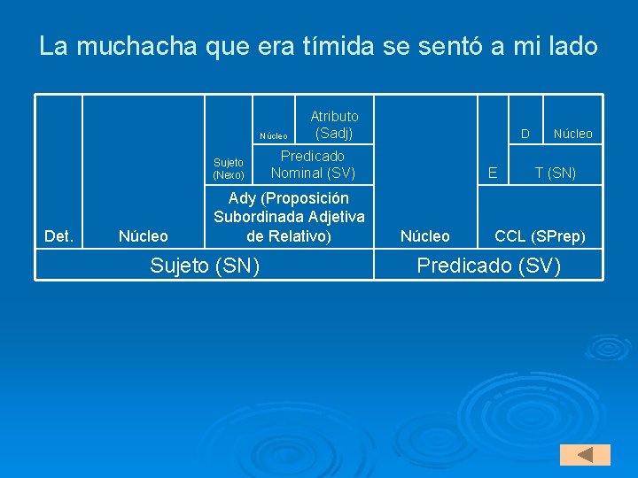 La muchacha que era tímida se sentó a mi lado Núcleo Sujeto (Nexo) Det.