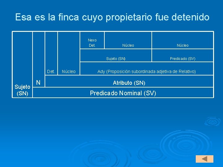 Esa es la finca cuyo propietario fue detenido Nexo Det. Núcleo Sujeto (SN) Det.