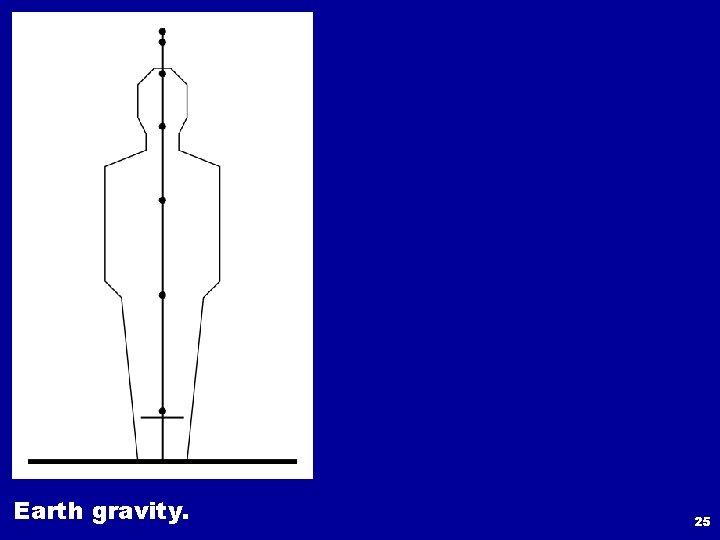 Earth gravity. 25 