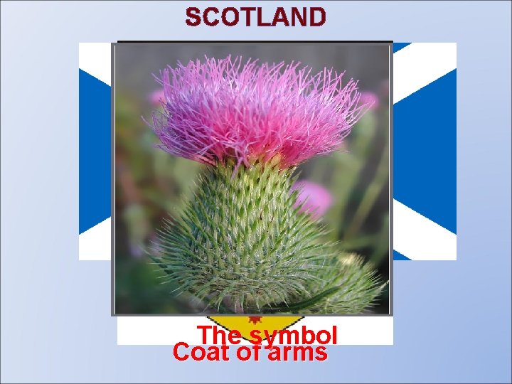 SCOTLAND The flag The symbol Coat of arms 