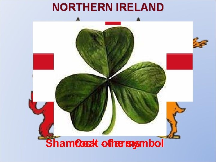 NORTHERN IRELAND The flag Shamrock Coat -ofthe arms symbol 