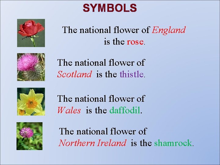 SYMBOLS The national flower of England is the rose. The national flower of Scotland