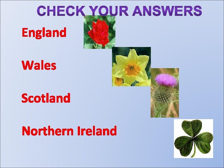 England Wales Scotland Northern Ireland 