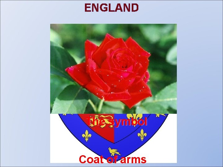 ENGLAND The flag The symbol Coat of arms 