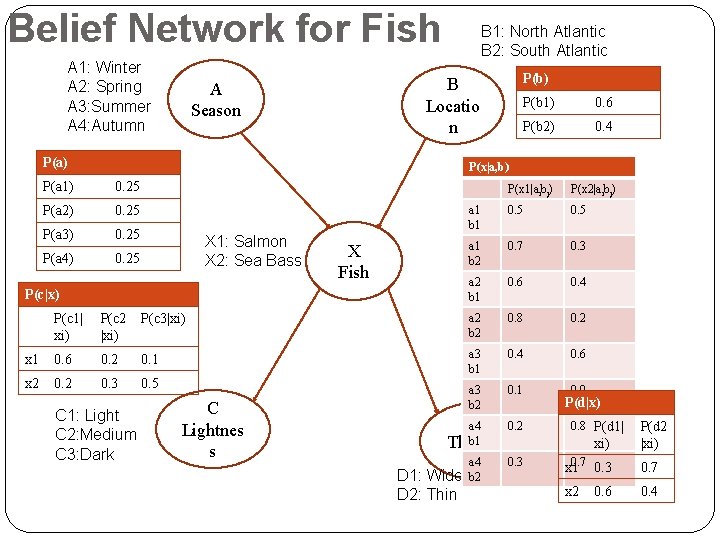 Belief Network for Fish A 1: Winter A 2: Spring A 3: Summer A