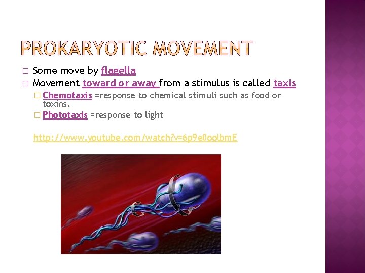 � � Some move by flagella Movement toward or away from a stimulus is