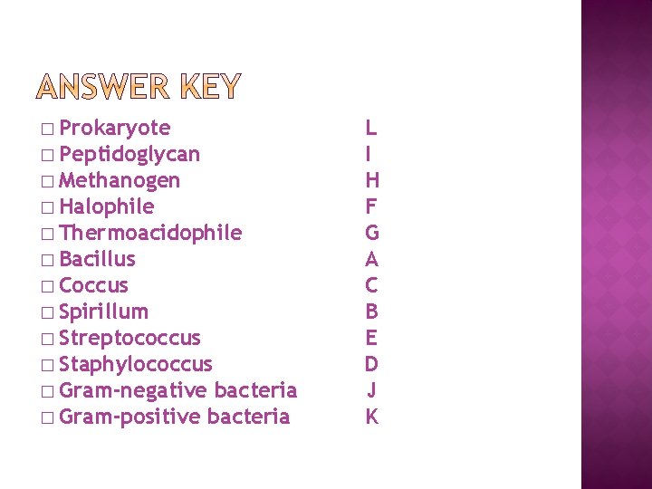 � Prokaryote � Peptidoglycan � Methanogen � Halophile � Thermoacidophile � Bacillus � Coccus