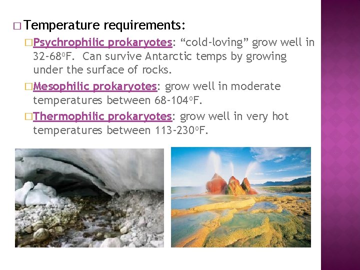 � Temperature requirements: �Psychrophilic prokaryotes: “cold-loving” grow well in 32 -68 o. F. Can