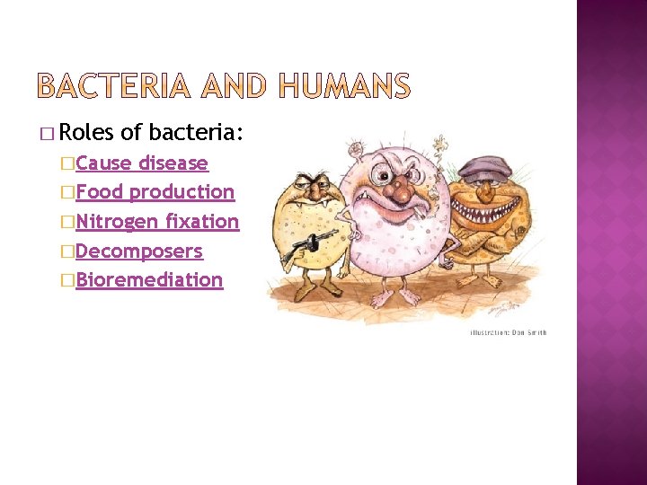 � Roles of bacteria: �Cause disease �Food production �Nitrogen fixation �Decomposers �Bioremediation 