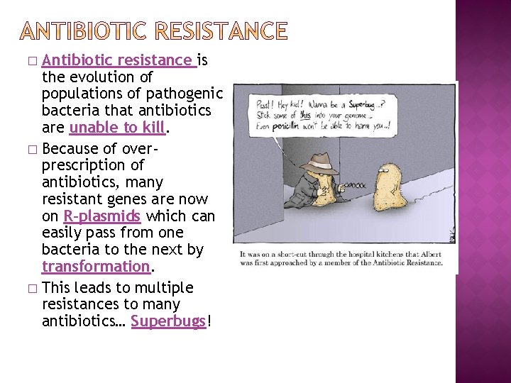 Antibiotic resistance is the evolution of populations of pathogenic bacteria that antibiotics are unable