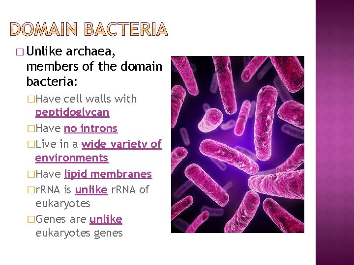 � Unlike archaea, members of the domain bacteria: �Have cell walls with peptidoglycan �Have