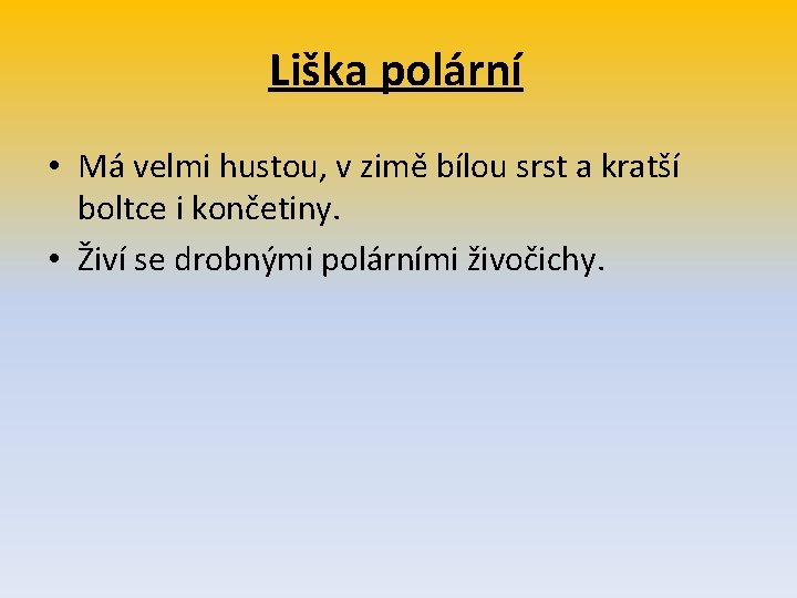 Liška polární • Má velmi hustou, v zimě bílou srst a kratší boltce i