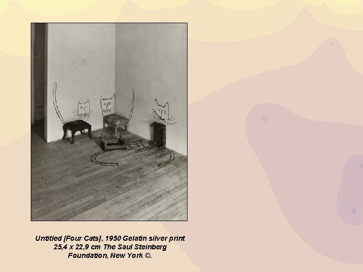 Untitled [Four Cats], 1950 Gelatin silver print 25, 4 x 22, 9 cm The