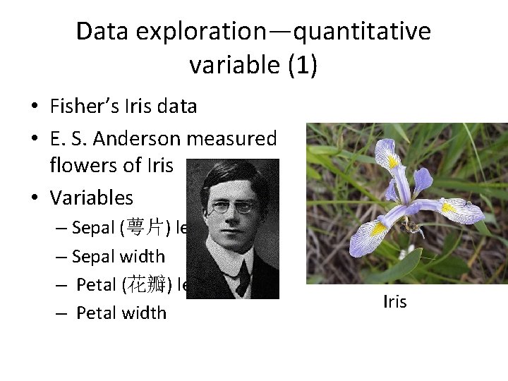 Data exploration—quantitative variable (1) • Fisher’s Iris data • E. S. Anderson measured flowers