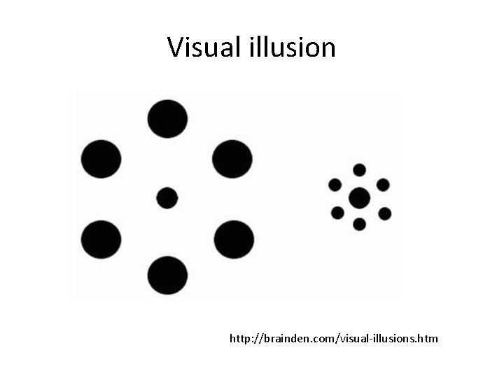 Visual illusion http: //brainden. com/visual-illusions. htm 