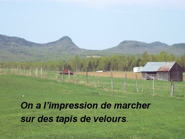 On a l’impression de marcher sur des tapis de velours. 