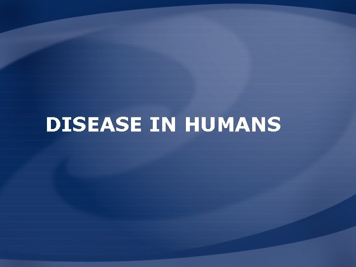 DISEASE IN HUMANS  DISEASE IN HUMANS