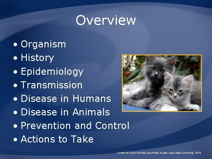 Overview • Organism • History • Epidemiology • Transmission • Disease in Humans • Overview • Organism • History • Epidemiology • Transmission • Disease in Humans •