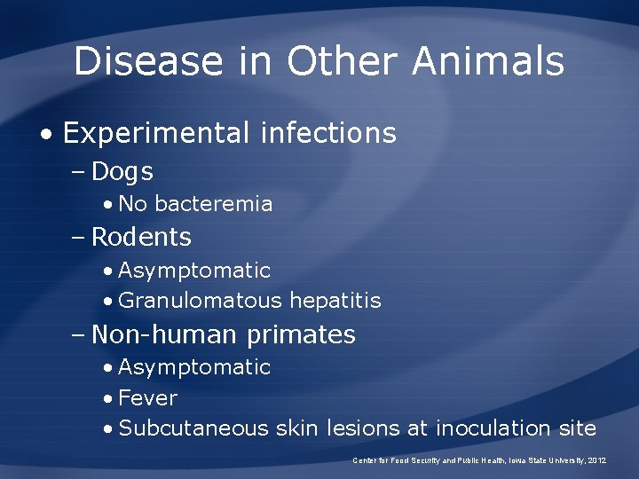 Disease in Other Animals • Experimental infections – Dogs • No bacteremia – Rodents