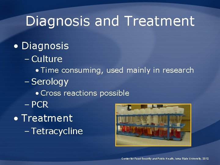 Diagnosis and Treatment • Diagnosis – Culture • Time consuming, used mainly in research Diagnosis and Treatment • Diagnosis – Culture • Time consuming, used mainly in research