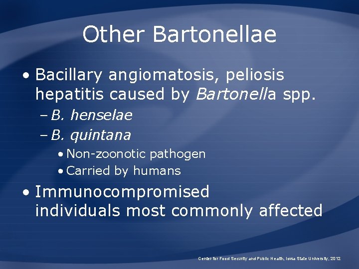 Other Bartonellae • Bacillary angiomatosis, peliosis hepatitis caused by Bartonella spp. – B. henselae