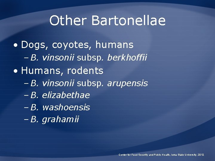 Other Bartonellae • Dogs, coyotes, humans – B. vinsonii subsp. berkhoffii • Humans, rodents