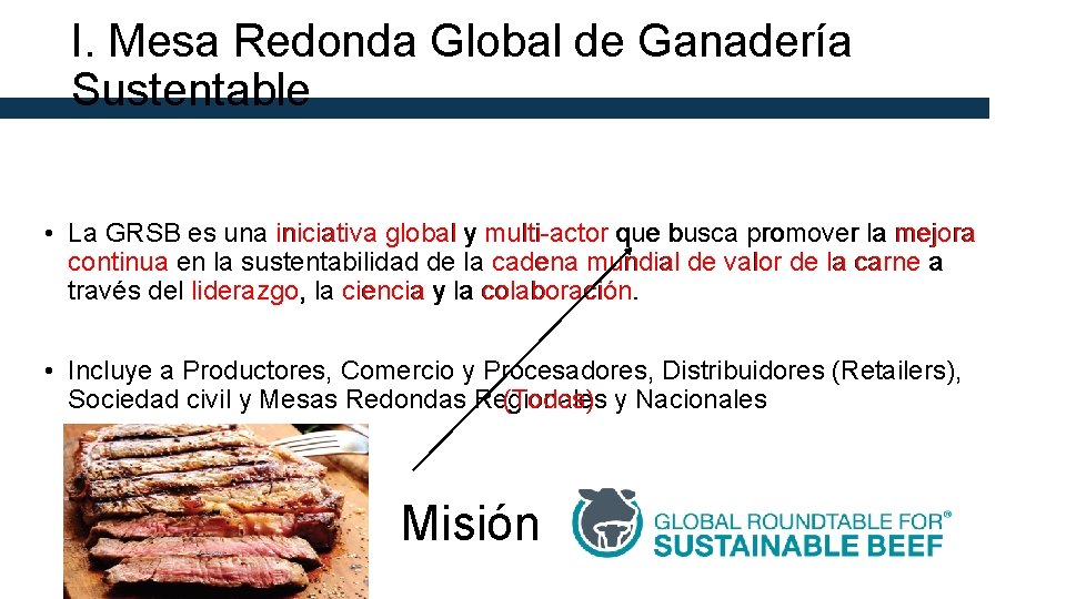 I. Mesa Redonda Global de Ganadería Sustentable • La GRSB es una iniciativa global