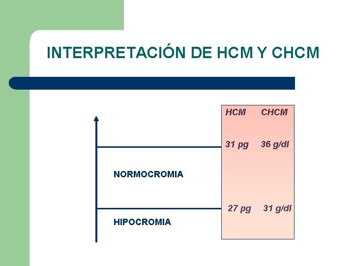 INTERPRETACIÓN DE HCM Y CHCM 31 pg 36 g/dl 27 pg 31 g/dl NORMOCROMIA