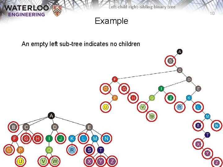 Left-child right-sibling binary tree 10 Example An empty left sub-tree indicates no children Left-child right-sibling binary tree 10 Example An empty left sub-tree indicates no children
