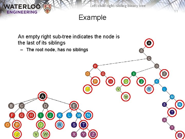 Left-child right-sibling binary tree 11 Example An empty right sub-tree indicates the node is Left-child right-sibling binary tree 11 Example An empty right sub-tree indicates the node is