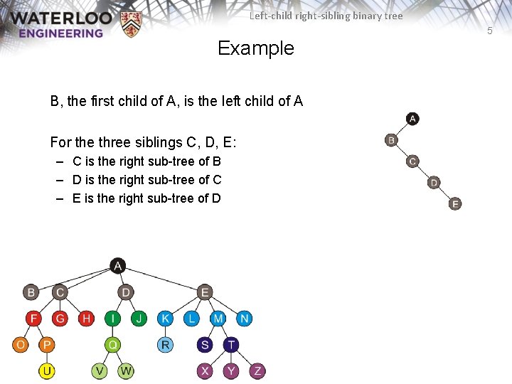 Left-child right-sibling binary tree 5 Example B, the first child of A, is the Left-child right-sibling binary tree 5 Example B, the first child of A, is the