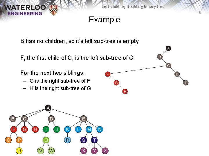 Left-child right-sibling binary tree 6 Example B has no children, so it’s left sub-tree Left-child right-sibling binary tree 6 Example B has no children, so it’s left sub-tree