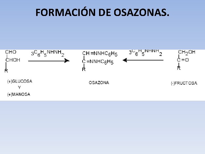 FORMACIÓN DE OSAZONAS. 