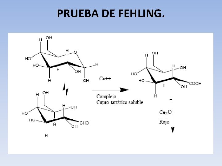 PRUEBA DE FEHLING. 