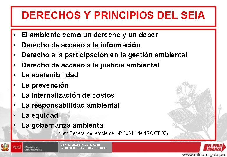 DERECHOS Y PRINCIPIOS DEL SEIA • • • El ambiente como un derecho y