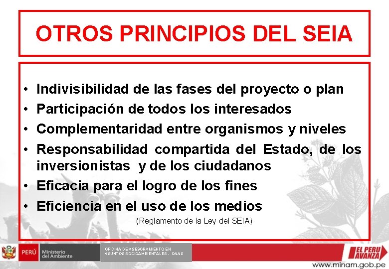 OTROS PRINCIPIOS DEL SEIA • • Indivisibilidad de las fases del proyecto o plan