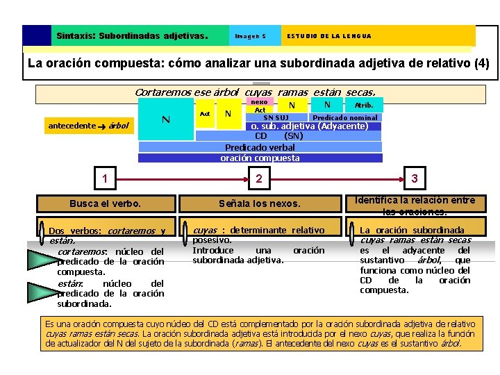 Sintaxis: Subordinadas adjetivas. Imagen 5 ESTUDIO DE LA LENGUA La oración compuesta: cómo analizar