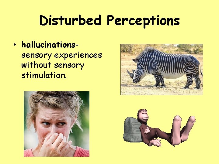 Disturbed Perceptions • hallucinationssensory experiences without sensory stimulation. 