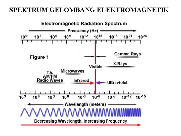 SPEKTRUM GELOMBANG ELEKTROMAGNETIK 