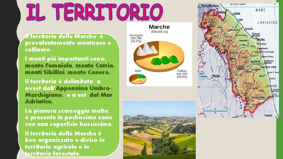 Il territorio delle Marche è prevalentemente montuoso e collinare. I monti più importanti sono: