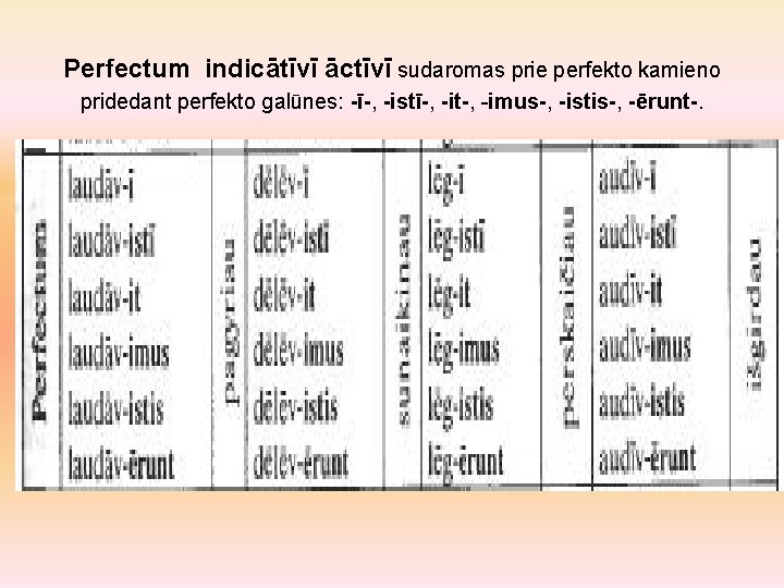 Perfectum indicātīvī āctīvī sudaromas prie perfekto kamieno pridedant perfekto galūnes: -ī-, -istī-, -it-, -imus-,