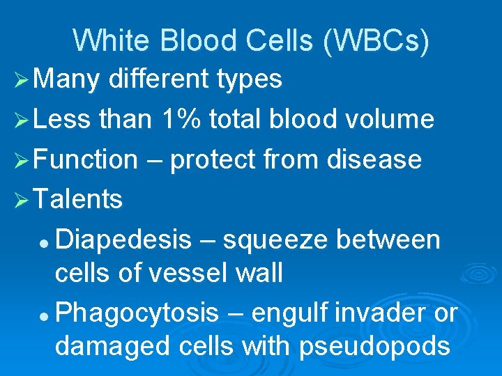 White Blood Cells (WBCs) Ø Many different types Ø Less than 1% total blood