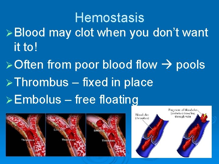 Hemostasis Ø Blood may clot when you don’t want it to! Ø Often from