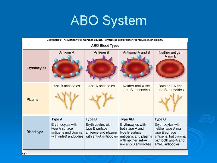 ABO System 