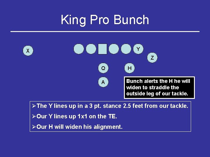 King Pro Bunch Y X Z Q H A Bunch alerts the H he