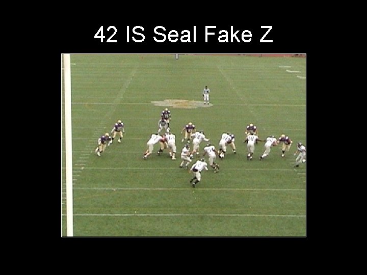 42 IS Seal Fake Z 