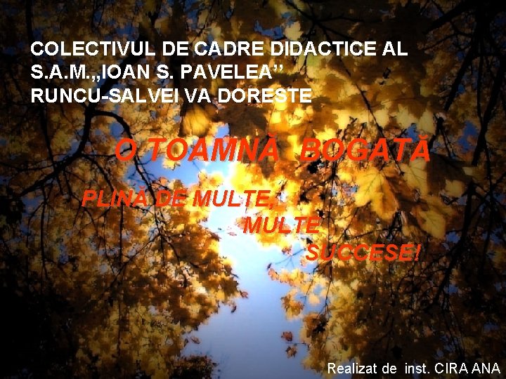 COLECTIVUL DE CADRE DIDACTICE AL S. A. M. , , IOAN S. PAVELEA’’ RUNCU-SALVEI COLECTIVUL DE CADRE DIDACTICE AL S. A. M. , , IOAN S. PAVELEA’’ RUNCU-SALVEI