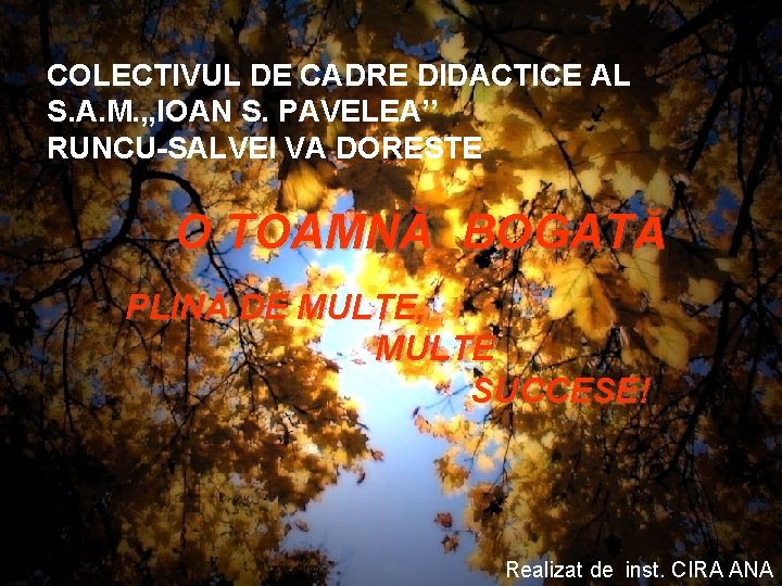 COLECTIVUL DE CADRE DIDACTICE AL S. A. M. , , IOAN S. PAVELEA’’ RUNCU-SALVEI